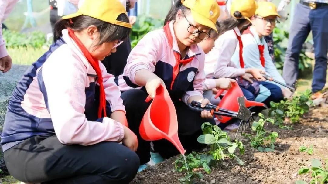 开元体育“田间学校”变身“科普学堂”闵行区这些基地向中小学生开放→(图3)