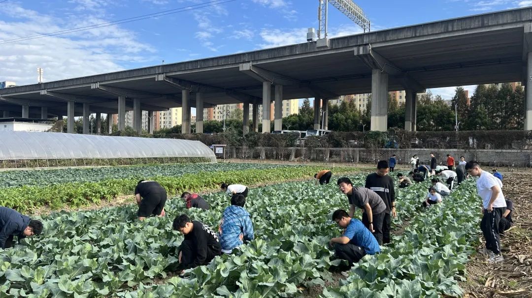 开元体育“田间学校”变身“科普学堂”闵行区这些基地向中小学生开放→(图5)