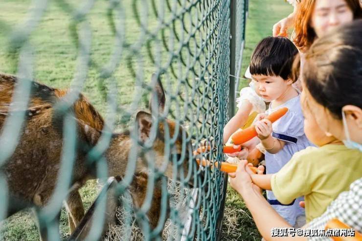 开元体育嘉兴)万科云之湾_万科云之湾欢迎您丨万科云之湾楼盘详情(图7)