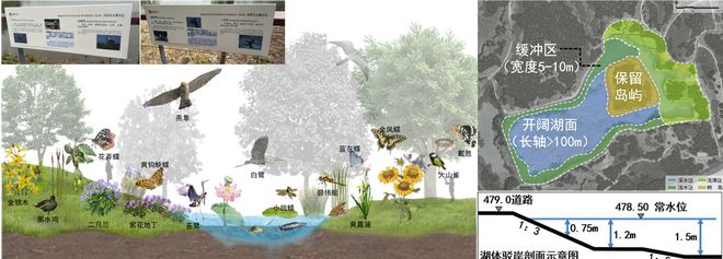 开元体育官网风景园林与旅游类 2019北京世园会自然生态展示区园林景观工程设计(图5)