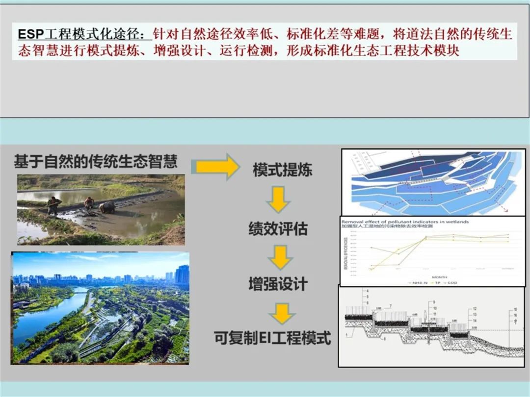 开元体育官网俞孔坚北林演讲全文：城市森林与生态修复的中国模式(图22)