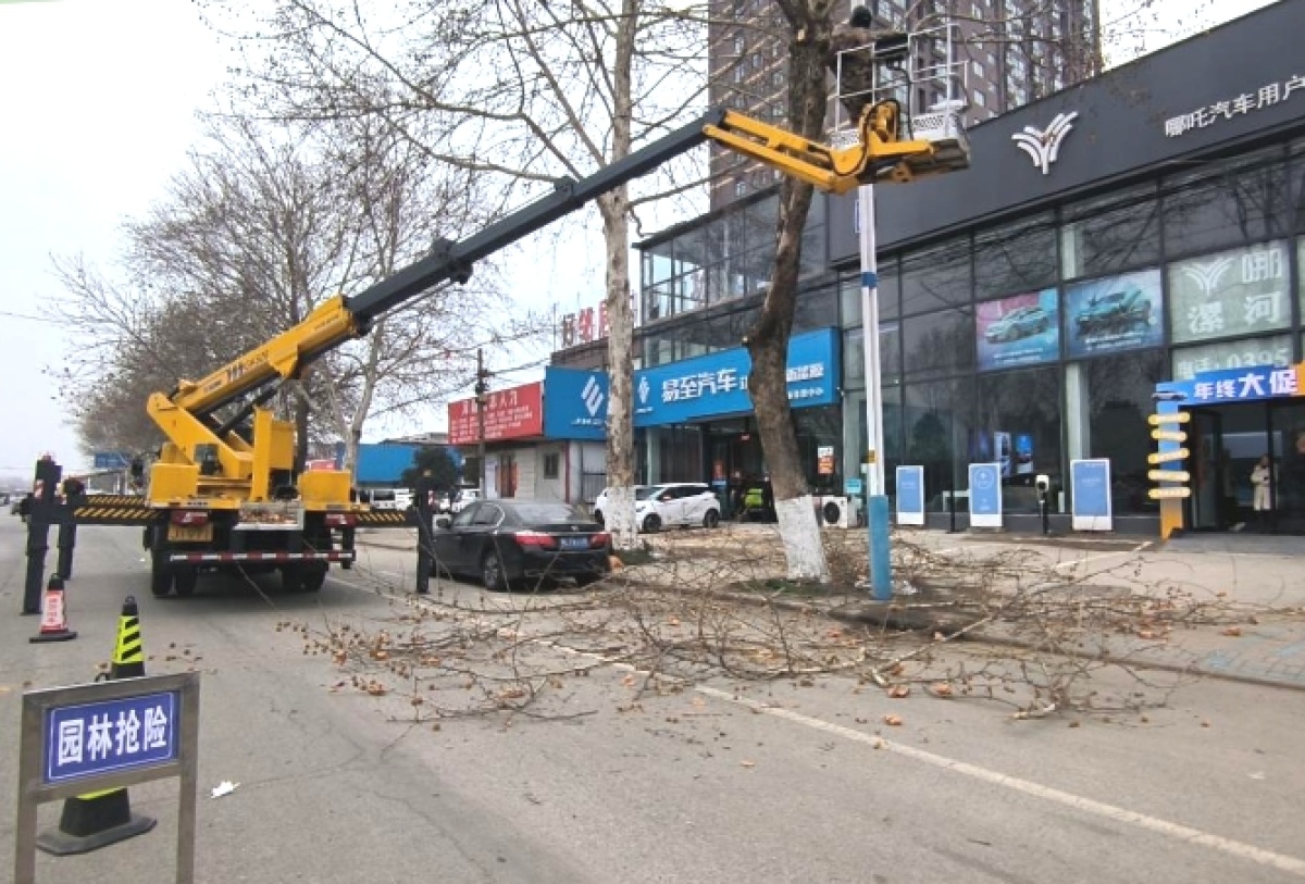 开元体育惊蛰奋起梳妆! 漯河园林养护中心精细管理力促城市变靓(图1)