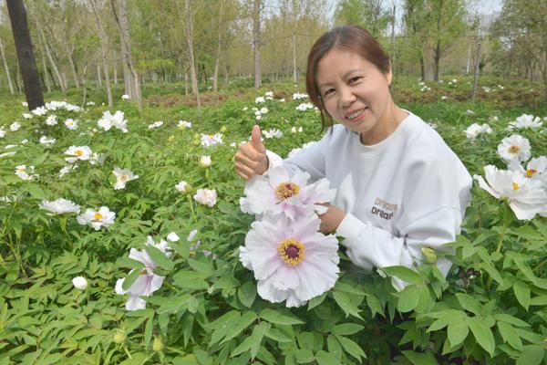 开元体育官方网站走!看牡丹去!河南北方园林300亩数百种牡丹盛开(图4)