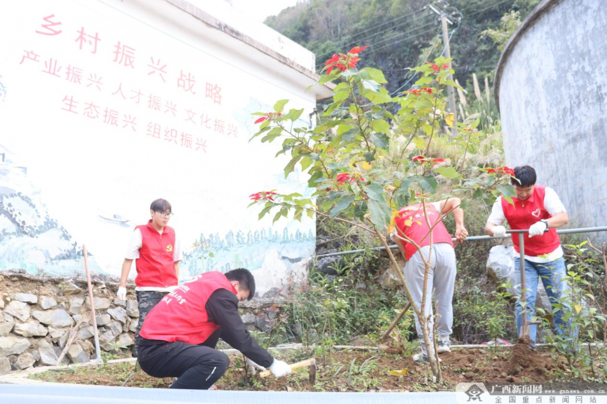 开元体育广西建院师生化身“美容师” 打造乡村高“颜值”(图2)