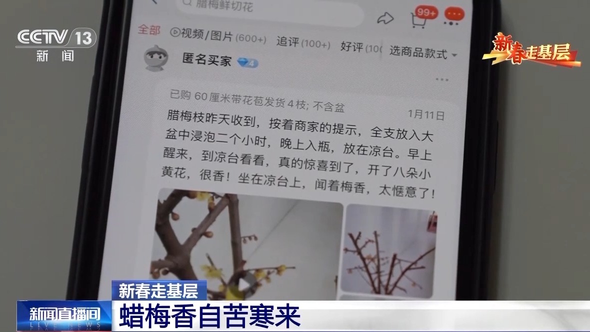 开元体育官方网站新春走基层丨蜡梅有了“经纪人” 不仅网上攒足人气更能“香”飘全国(图2)